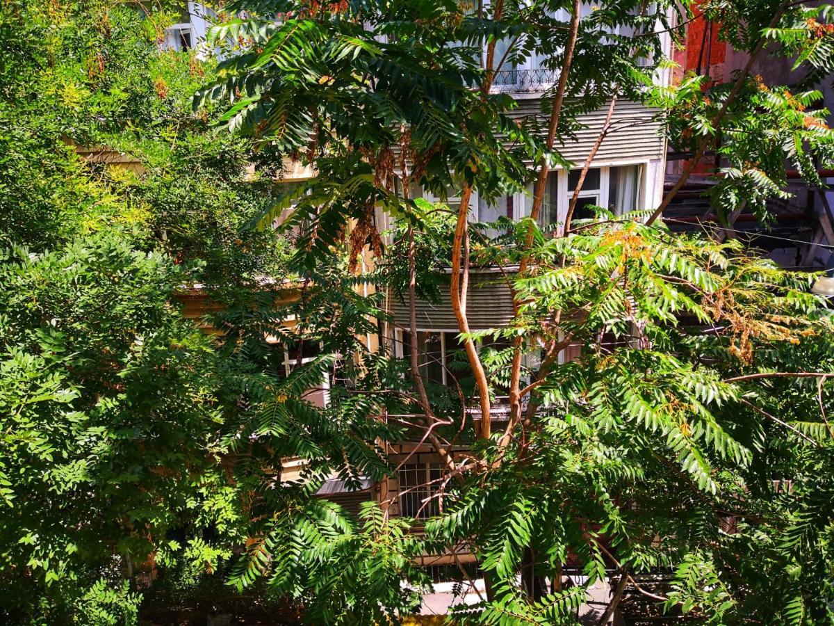 Gafa Garden Hostel & Apartments - Great Location اسطنبول المظهر الخارجي الصورة